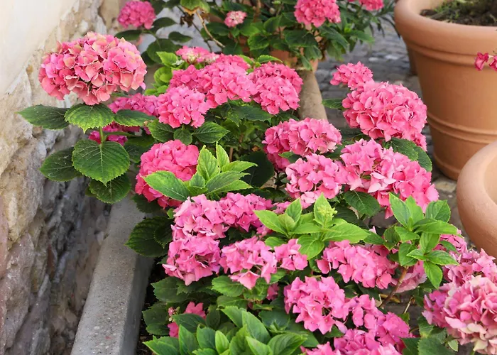 Апарт-отель Luxus-apartment Im Sternenhof 4*